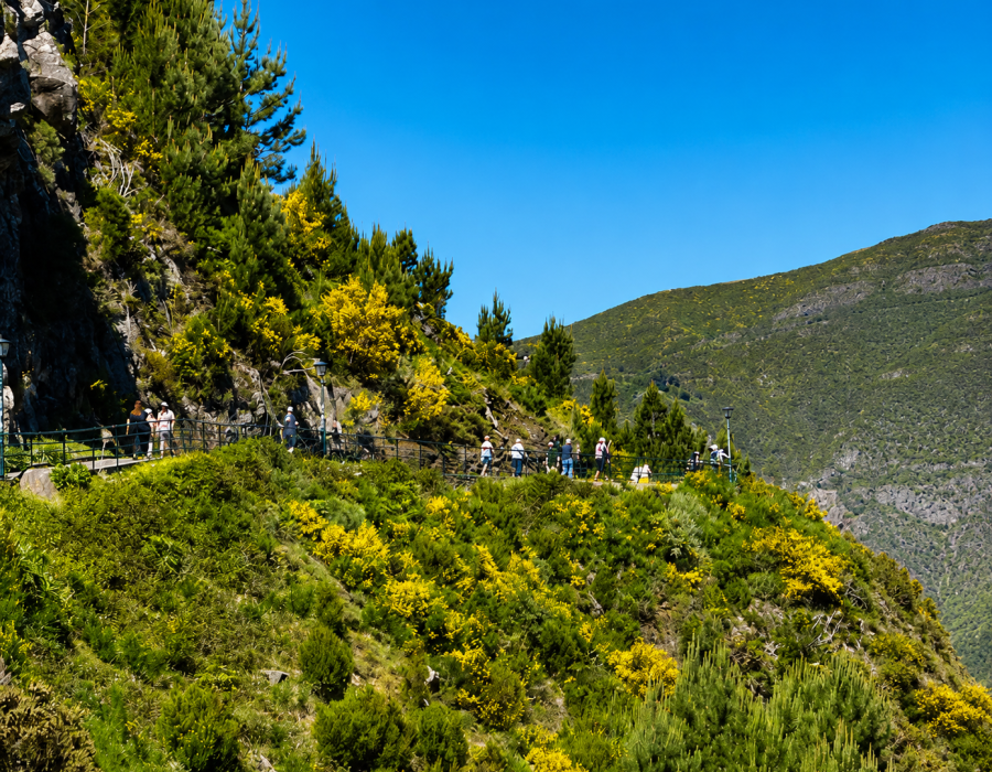 Eira do Serrado & Nun’s Valley Tuk Tuk Tour