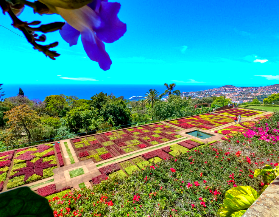 Madeira Botanical Garden Tuk Tuk Tour
