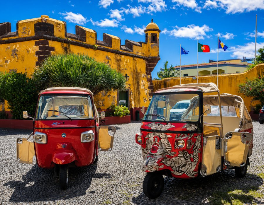 Funchal Viewpoints - Tuk Madeira City Tours