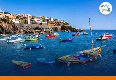 Câmara de Lobos - Tuk Madeira City Tours