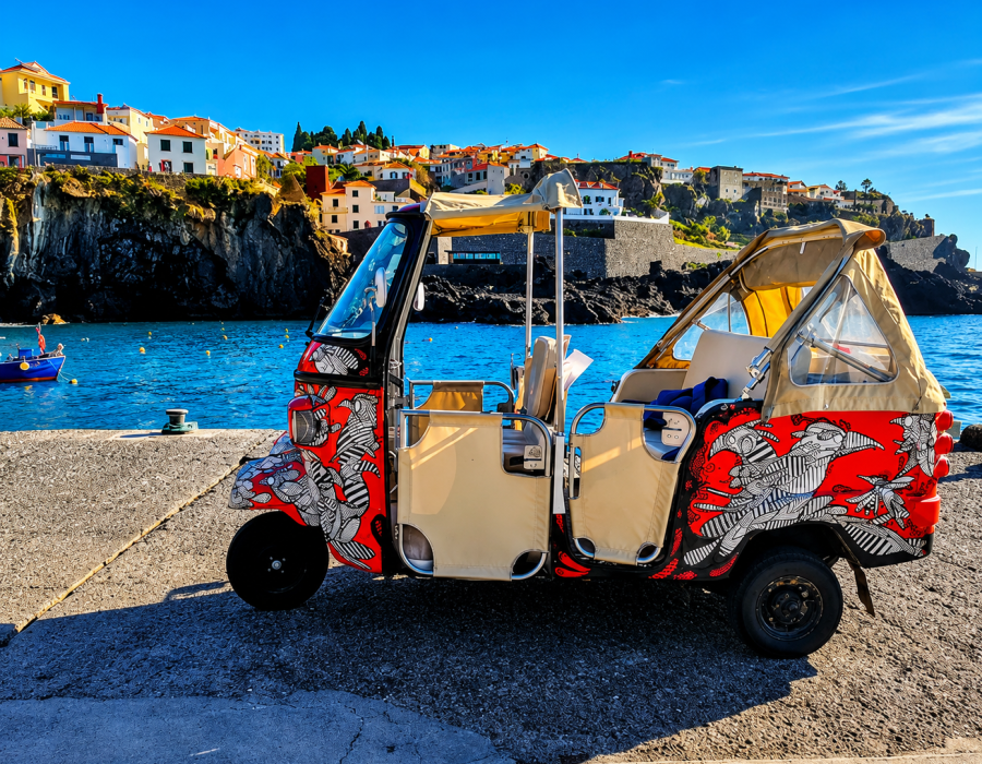 Câmara de Lobos Fishing Village Tuk Tuk Tour