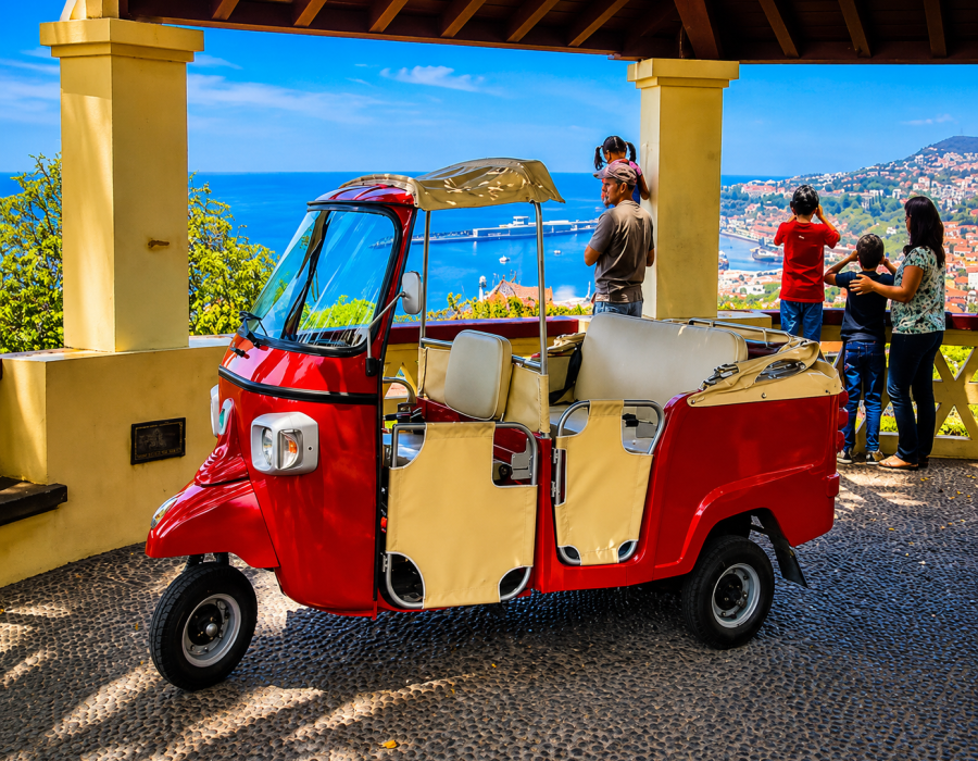 Funchal Viewpoints - Tuk Madeira City Tours