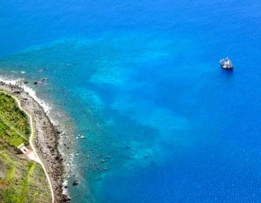 Cabo Girão & Câmara de Lobos Tuk Tuk Tour