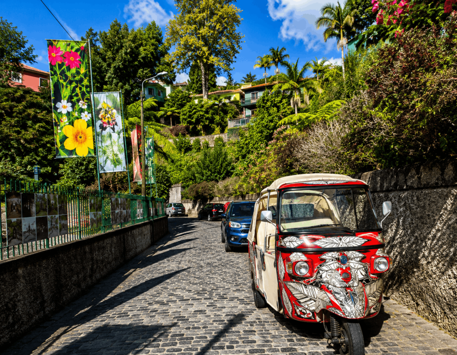 Tuk Tuk & Monte Wicker Toboggans
