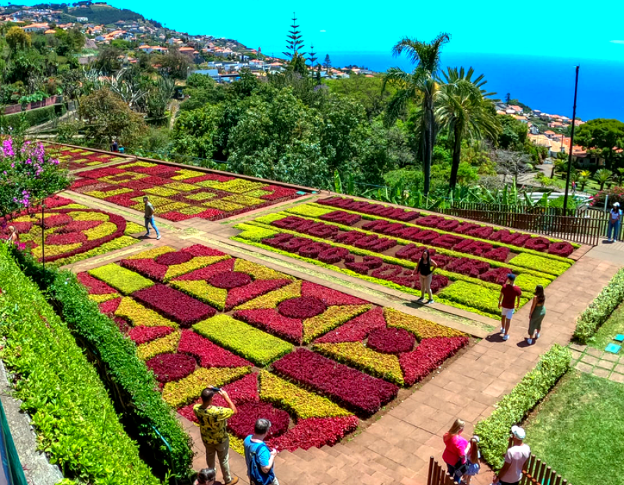 Madeira Botanical Garden Tuk Tuk Tour