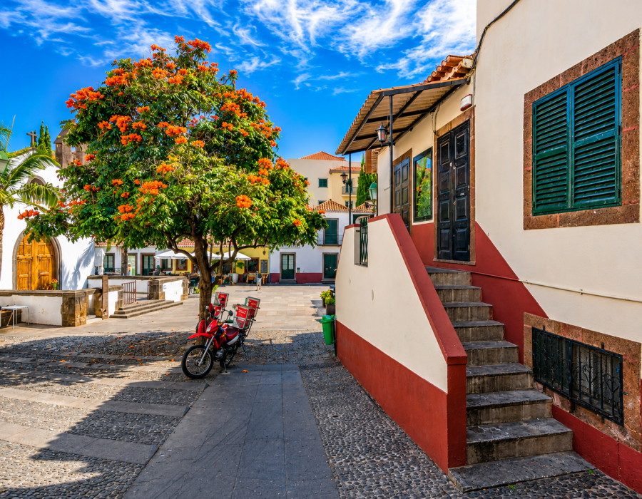 Monte & Funchal Old Town Tuk Tuk Tour