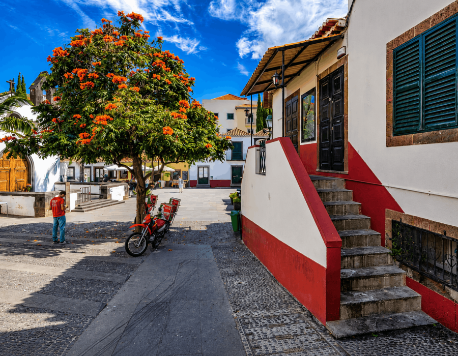 Zona Velha & Monte