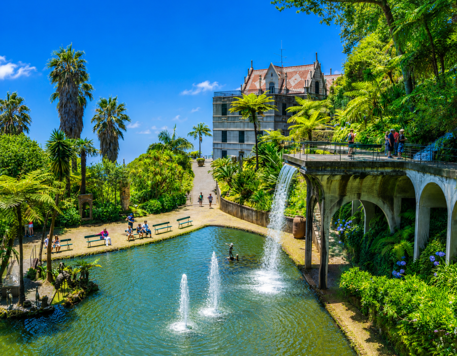 Madeira Botanical Garden Tuk Tuk Tour